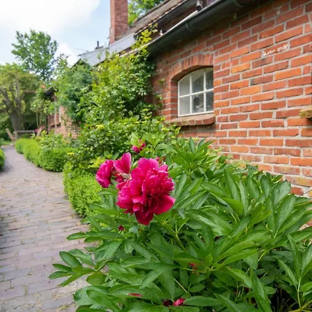 Ferienhaus Mandepolder